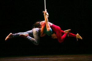Wendy Lam and Jacob  Lyons on duo straps. Photo by Dan Krauss, courtesy of Lux Aeterna Dance Company.