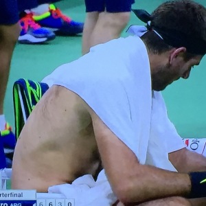 Juan Martin del Potro's hairy back.  (Trust me on this one--we're all lucky that  this pic is blurry!) Photo by Karen Salkin.
