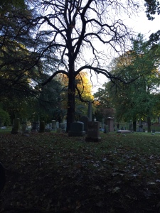 Greenwood Cemetery. Photo by Karen Salkin.