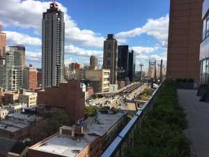 The view of the city from the terrace!  Photo by Karen Salkin. 