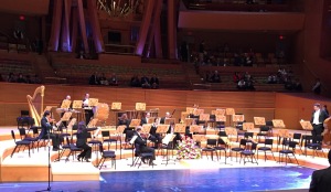 Pre-concert, when the musicians were just trickling on stage. Photo by Karen Salkin, as is the big panoramic one at the top of this page.