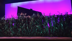 It's hard to tell how beautiful this cornfield that fronts the stage is, because the theatre lights were already back on, but it really is an impressive sight!  Photo by Karen Salkin.