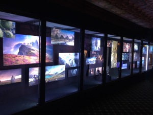 The photo display on the lower floor of the El Capitan. Photo by Karen Salkin.