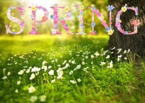 spring-1210194_1280