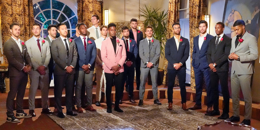 Sixteen of this season's would-be suitors.
