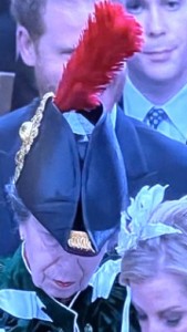 That's Harry behind the red plume on Princess Anne's chapeau! Many people got a kick out of his visage being obscured, which is what they want for him and his rotten wife to be.