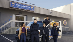 The cast of Animal Control.