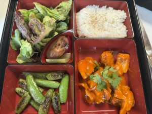 A bento box, this one with chicken. Photo by Karen Salkin.