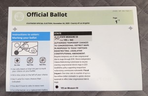 Photo by Karen Salkin.