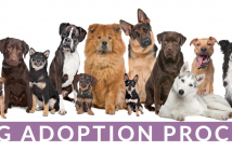 Screen Shot 2026-02-18 at 9.28.41 AM