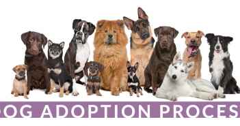 Screen Shot 2026-02-18 at 9.28.41 AM