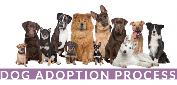 Screen Shot 2026-02-18 at 9.28.41 AM