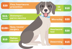 A few of the possible fees when adopting a pet.