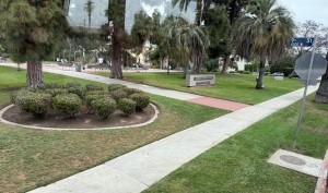 Harold Henry Park. Photo by Karen Salkin.