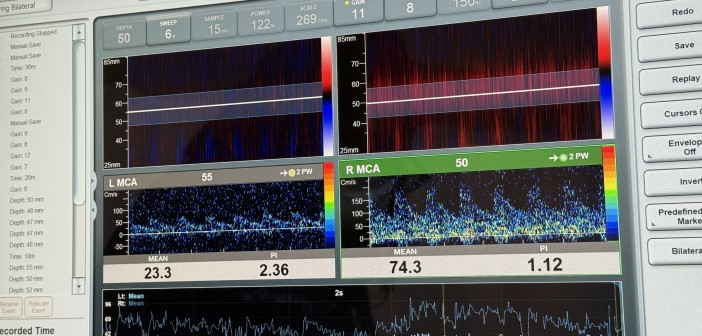 IMG_1597
